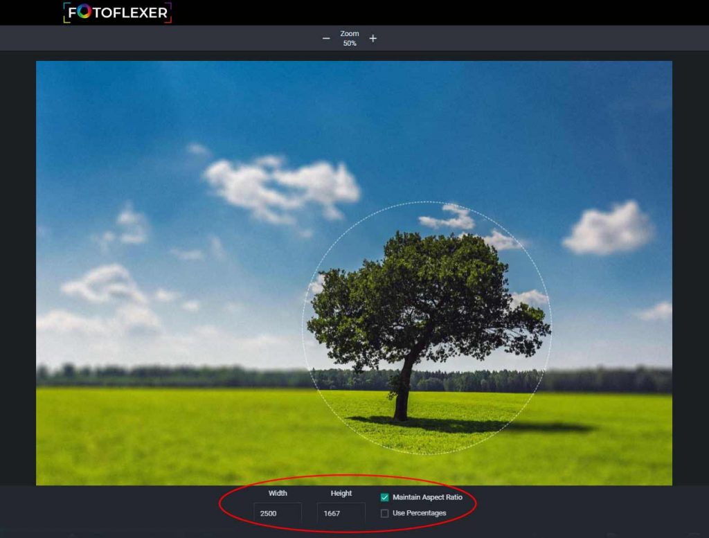 Инструмент Resize в FotoFlexer с настройками Width, Height и Maintain Aspect Ratio