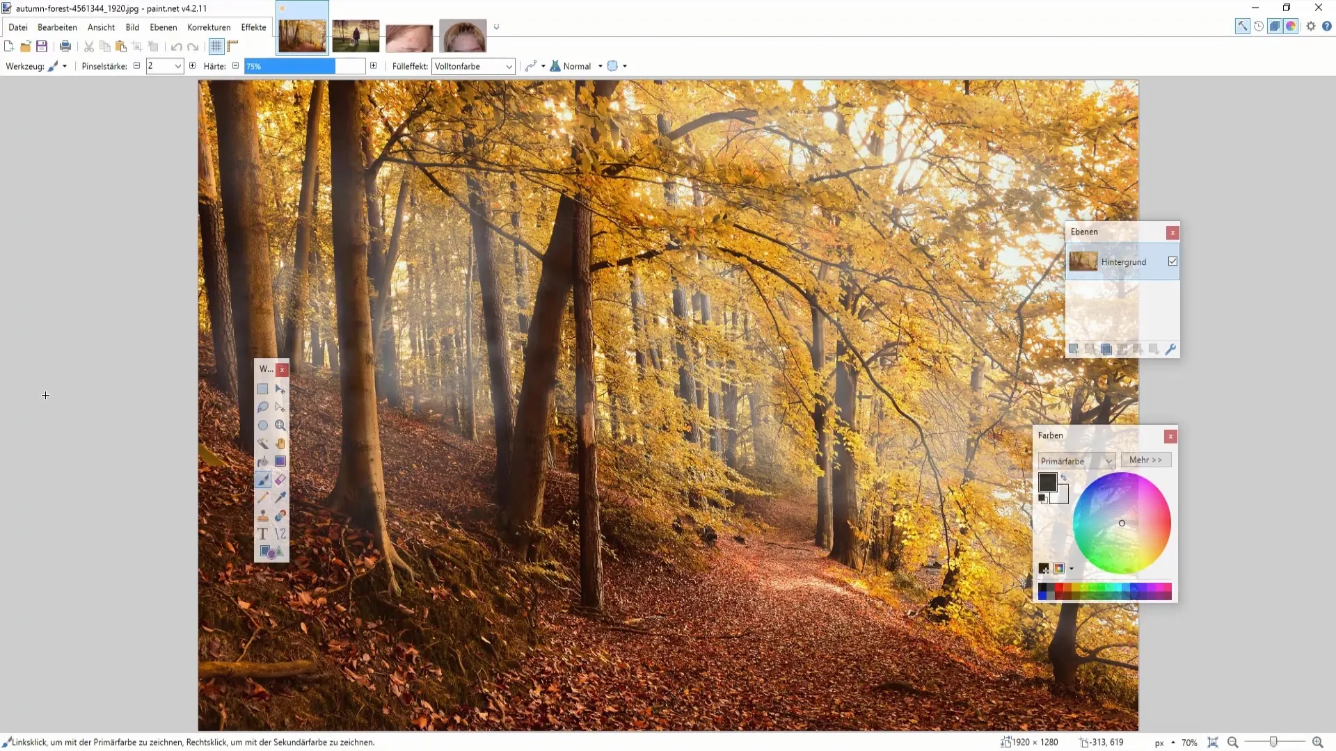 Рабочее окно paint.net при клонировании участка фотографии