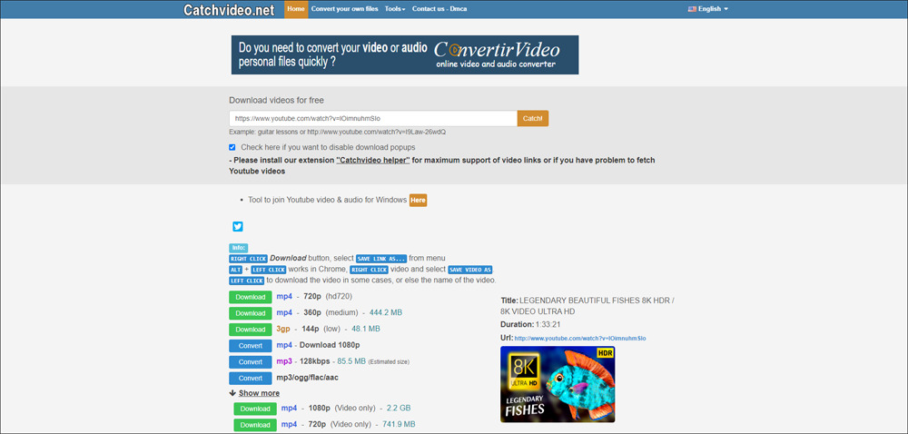 Интерфейс CatchVideo со списком вариантов Download и Convert