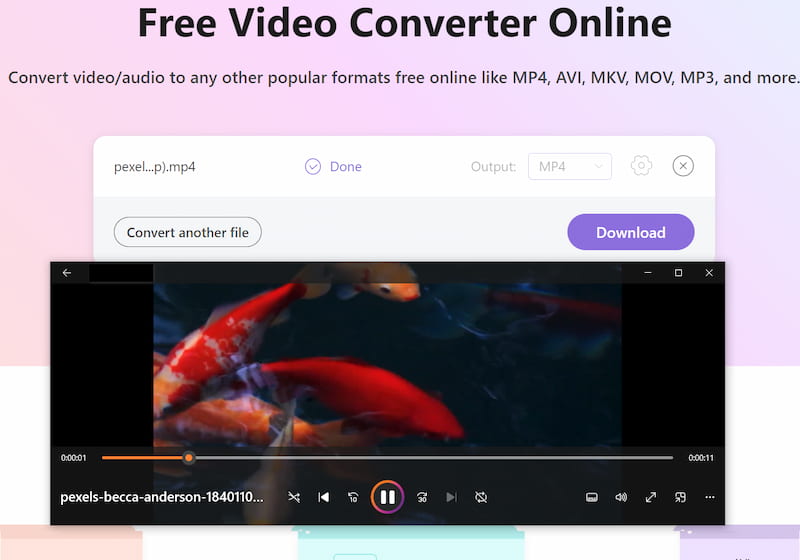 ArkThinker Online Video Converter интерфейс или шаг конвертации