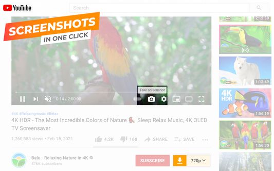 Дополнительные действия UDL Helper на странице видео