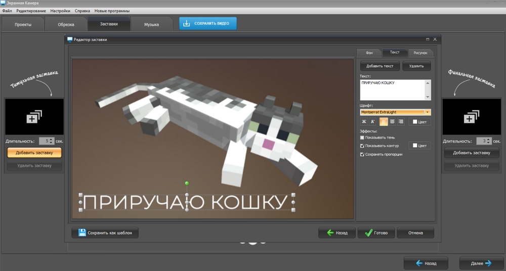 Предварительный просмотр оформленного ролика Minecraft