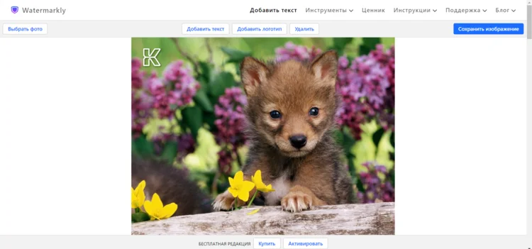 Интерфейс Watermarkly для загрузки и настройки водяного знака