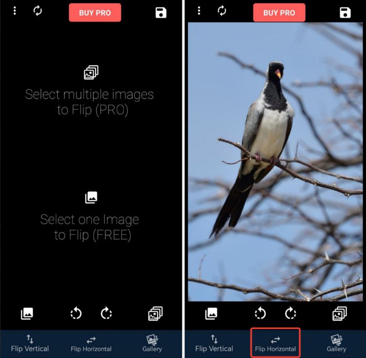 Кнопки Flip Horizontal и Flip Vertical в приложении Flip Image