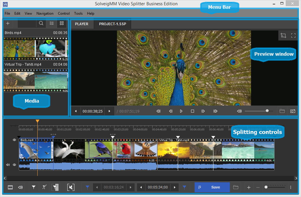 SolveigMM Video Splitter: окно просмотра, медиатека и элементы разрезания