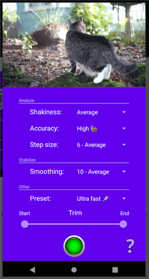 Интерфейс Shaky Video Stabilizer