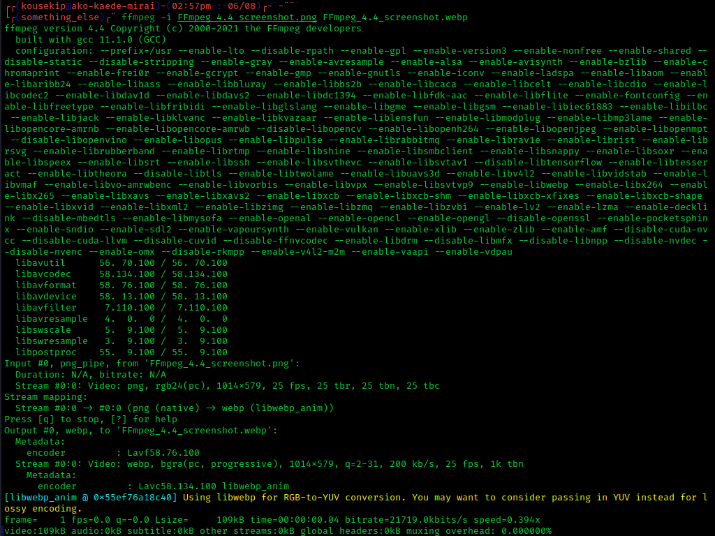 FFmpeg в командной строке с параметрами входного файла и ходом преобразования