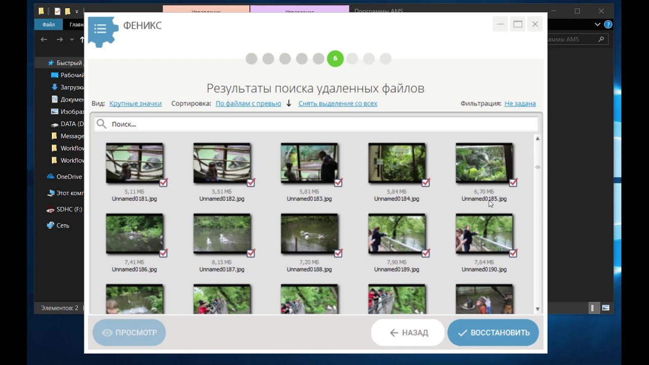 Интерфейс программы Феникс для выбора накопителя и запуска восстановления