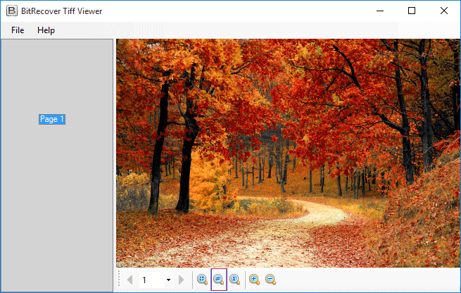 RecoveryTools TIFF Viewer: просмотр TIFF и масштабирование