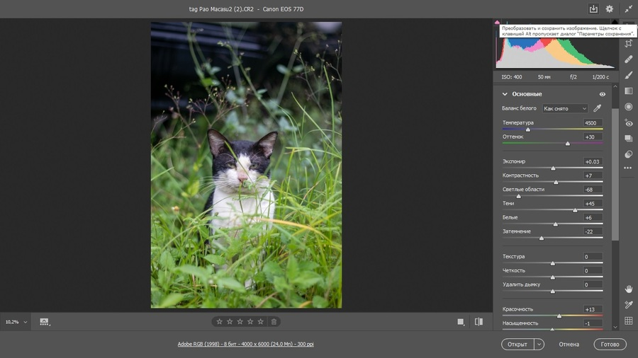Обработка CR2 в Adobe Camera Raw