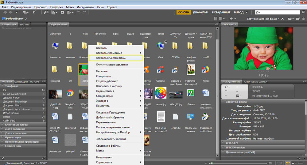 Фотография RAW в Adobe Lightroom перед шумоподавлением