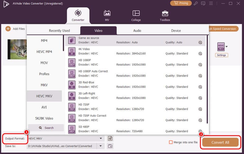 Запуск конвертации в AVAide Video Converter