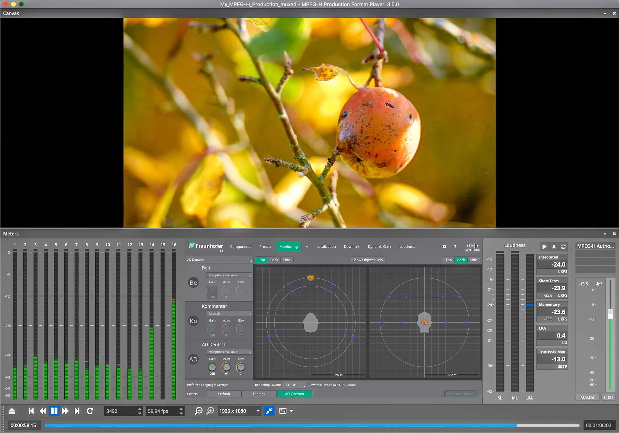 MPEG-H Production Format Player с видео, метрами, Monitoring и loudness