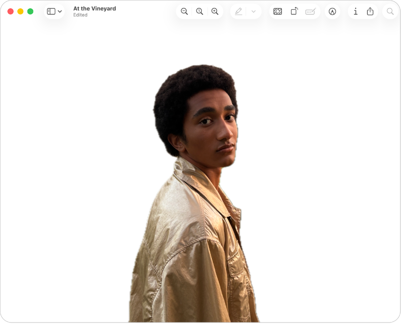Preview на Mac после автоматического удаления заднего плана