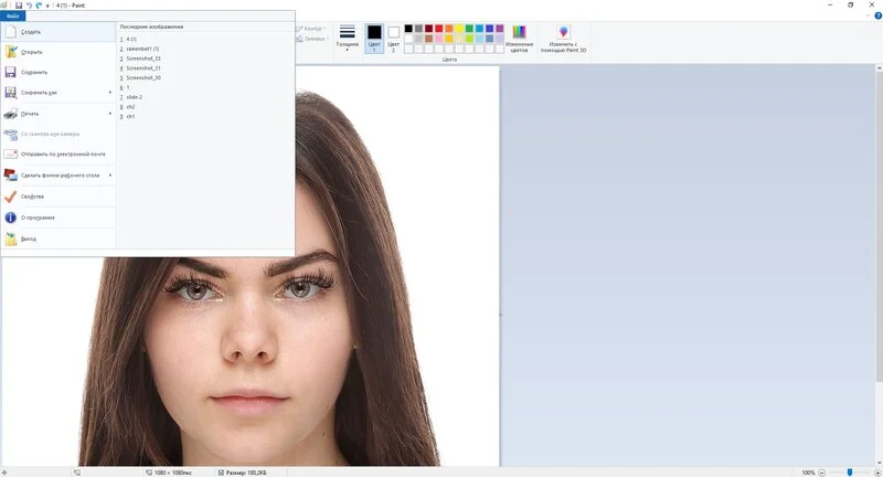 Инструмент прямоугольного выделения в Paint
