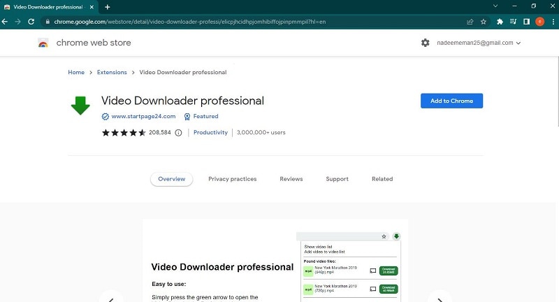 Интерфейс Video Downloader Professional в Chrome