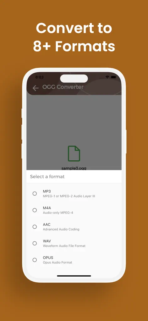 Выбор MP3 в OGG Converter на iPhone