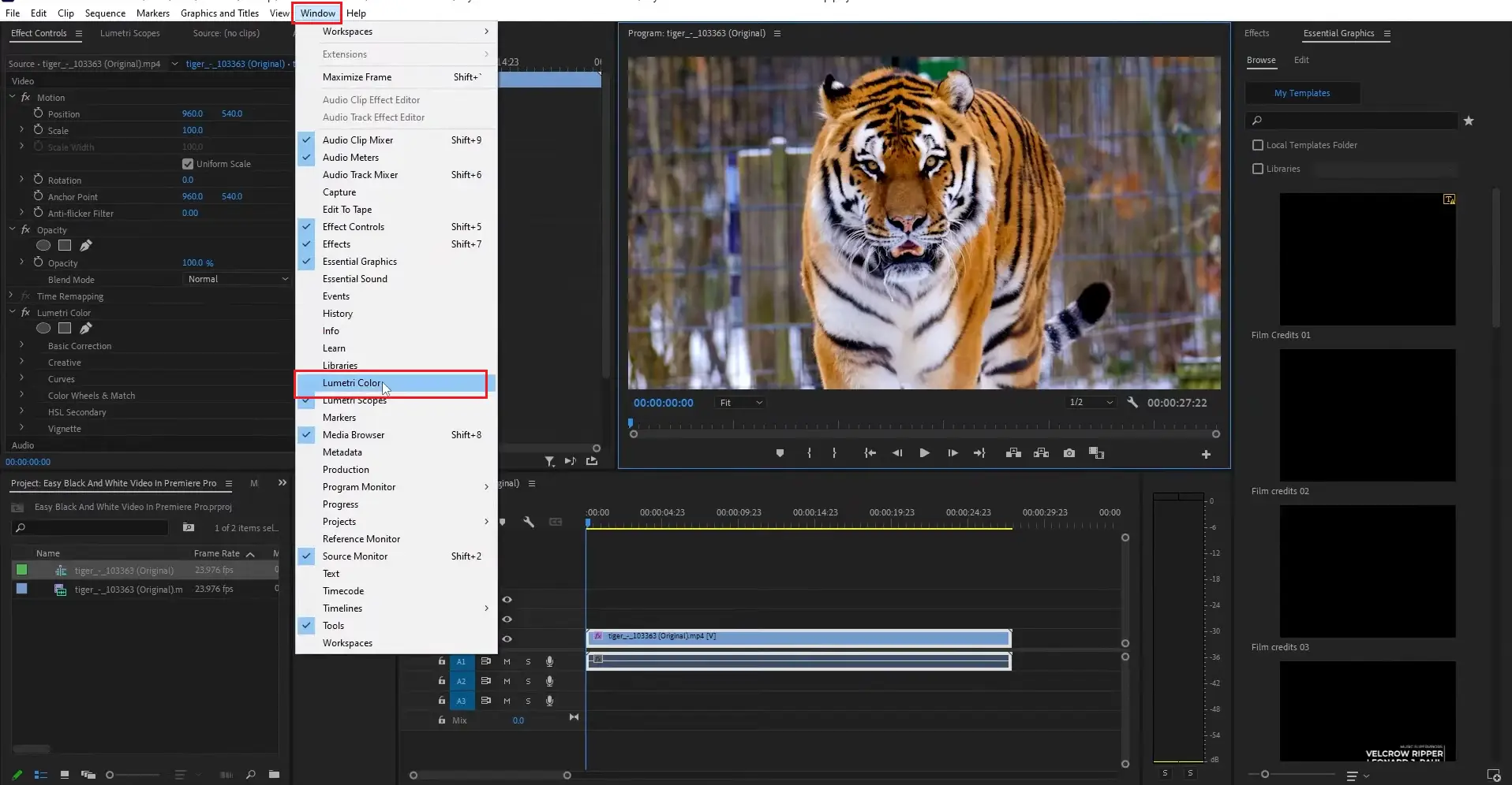 Импорт и таймлайн Adobe Premiere Pro