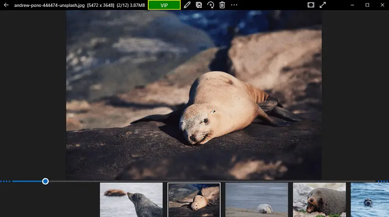 Интерфейс 123 Photo Viewer с открытым изображением