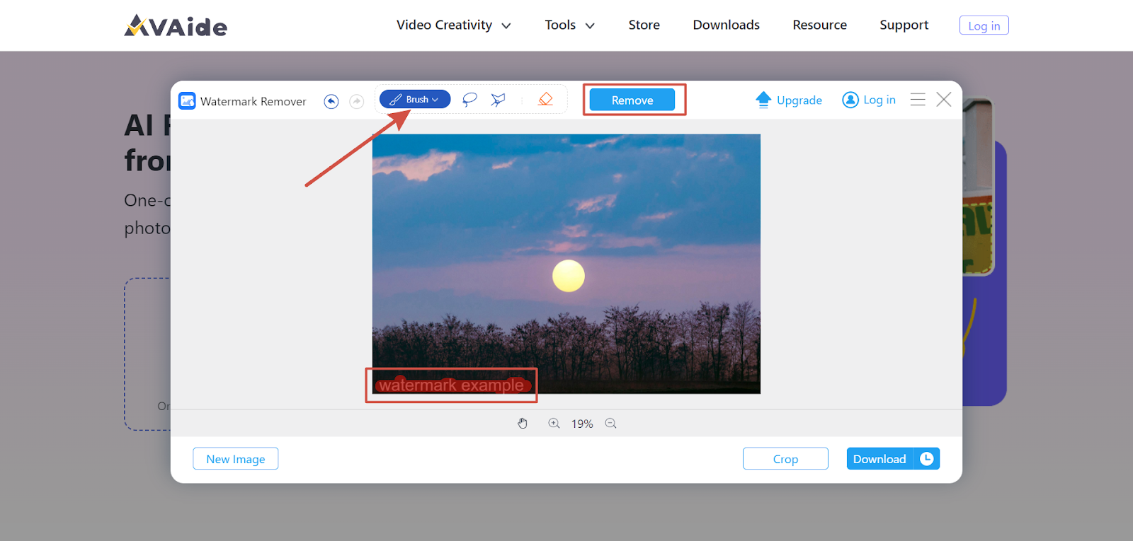 Интерфейс AVAide Watermark Remover при удалении нежелательной области