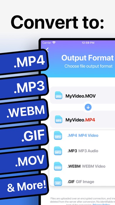 The Video Converter на iPhone: экран Output Format с MP3 и WEBM