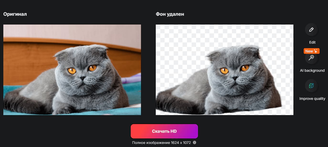 Результат автоматического удаления фона в Erase.bg