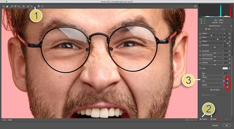 Открытие портрета в Adobe Camera Raw перед Photoshop