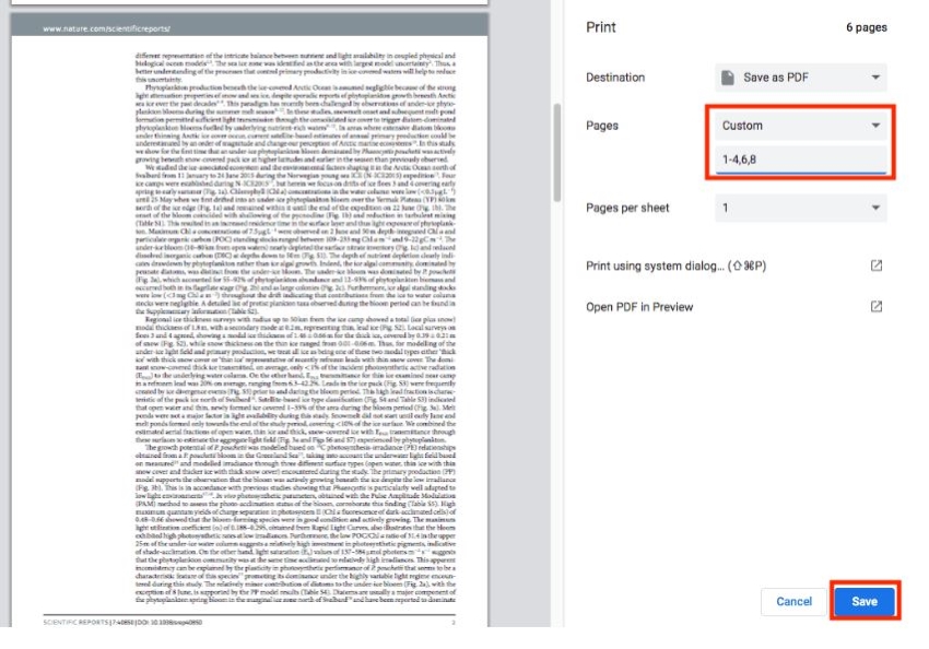 Диалог печати Google Chrome с выбором пользовательских страниц и сохранением в PDF
