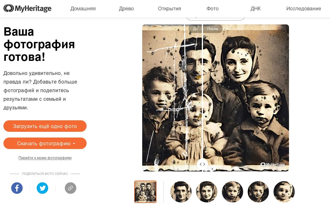 Интерфейс MyHeritage Photo Repair