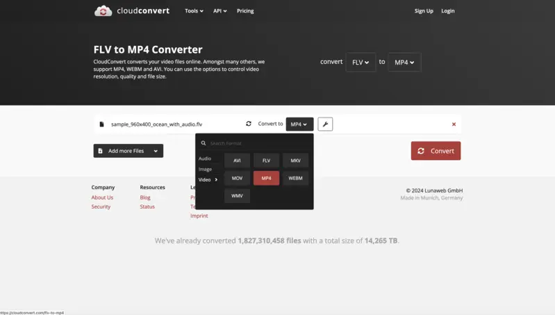 Выбор MP4 в CloudConvert