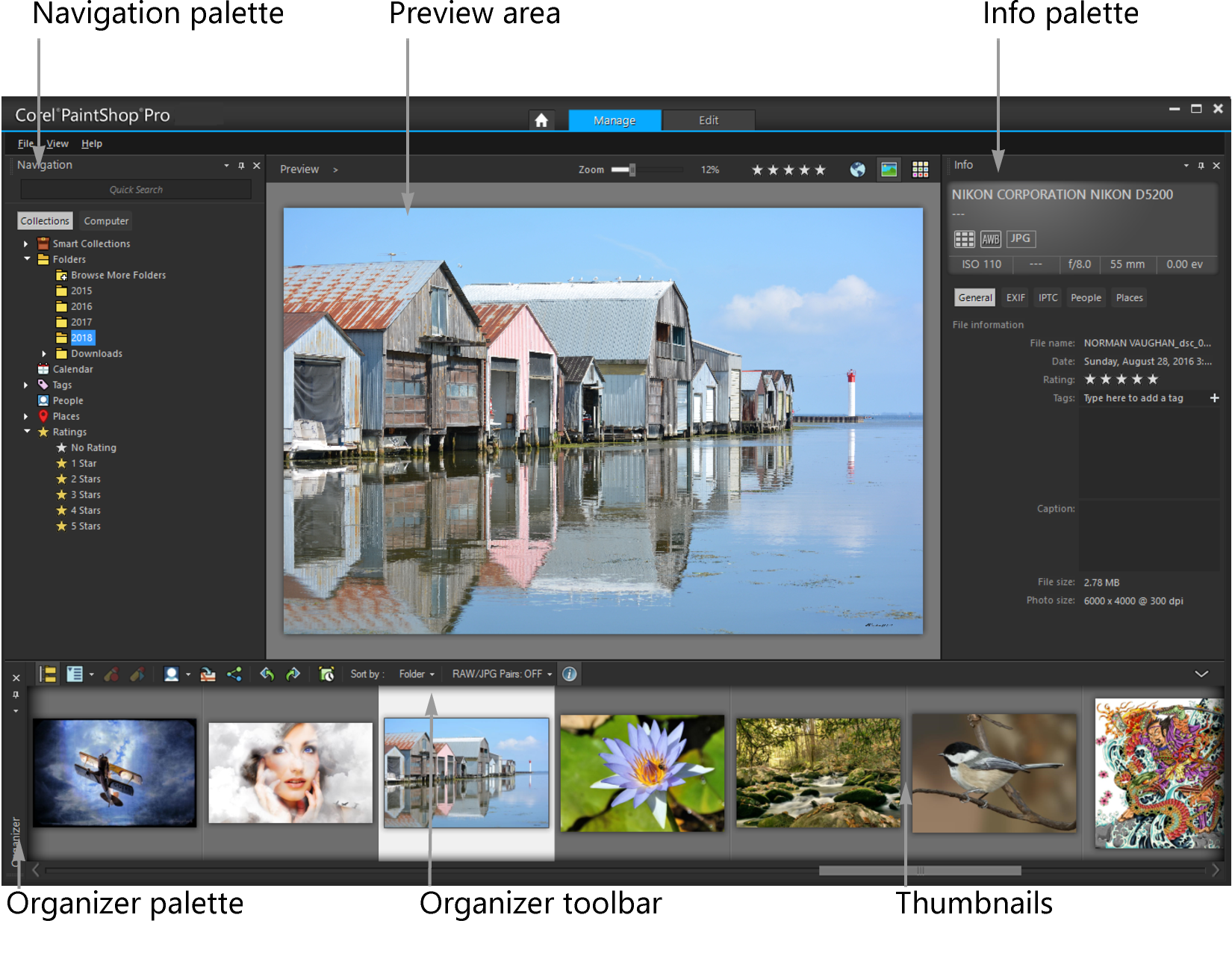 PaintShop Pro в режиме Manage: навигация, крупный предпросмотр, миниатюры и информационная панель