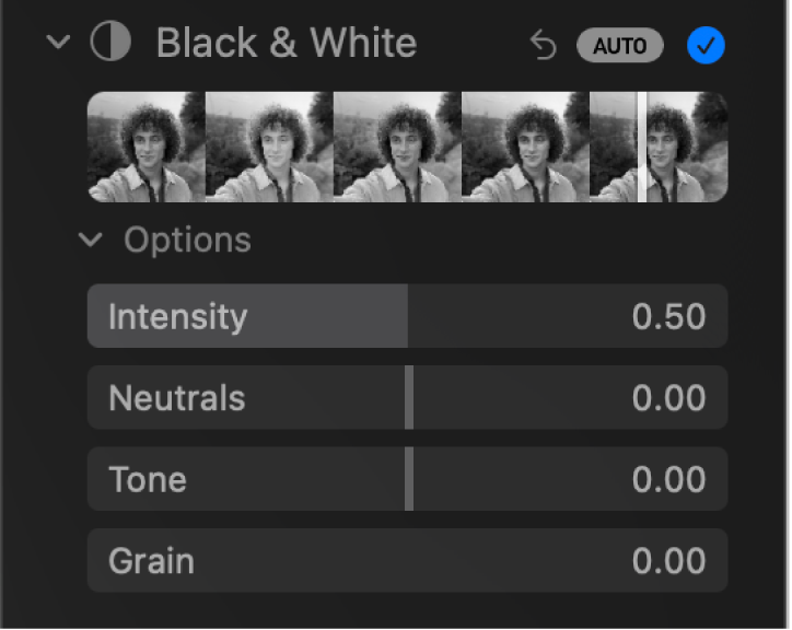 Параметры Intensity Neutrals Tone и Grain в Apple Photos
