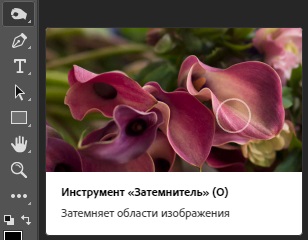 Проверка естественности линии челюсти
