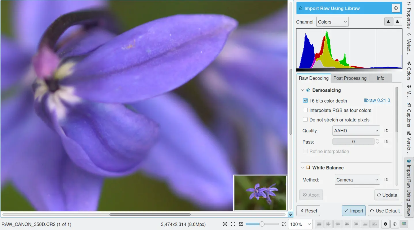 RAW Import Tool в digiKam