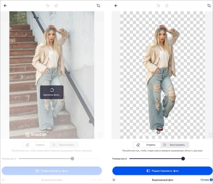 Интерфейс SnapEdit для изменения заднего плана
