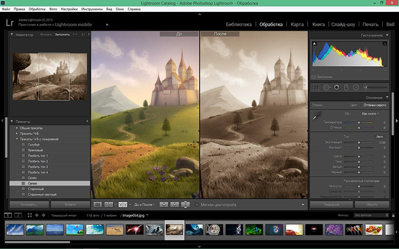 Настройка света и цвета в Adobe Lightroom