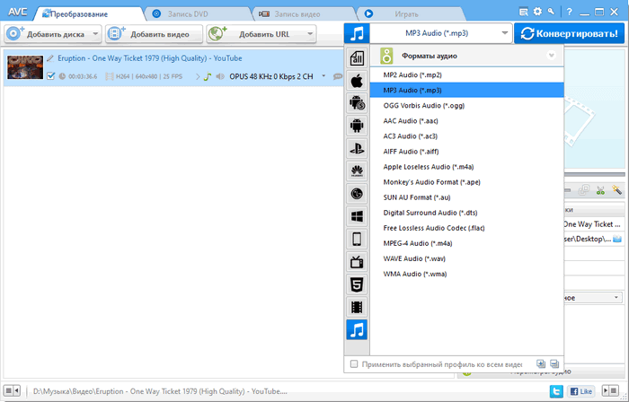 Окно Any Video Converter с добавленным видео