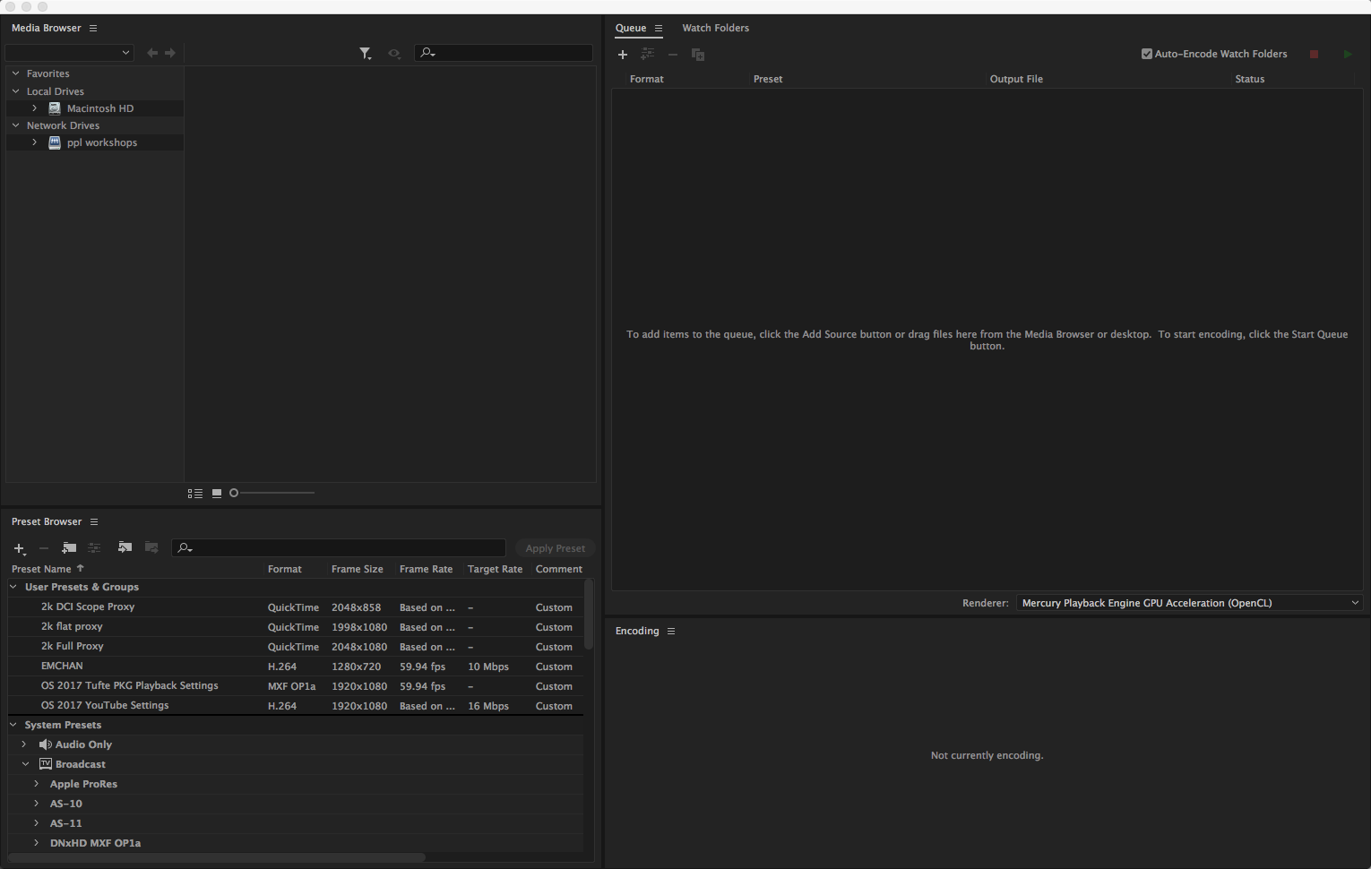 Рабочее пространство Adobe Media Encoder с Media Browser, Preset Browser, Queue и Encoding