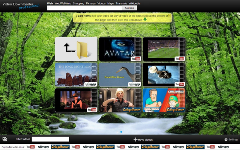Интерфейс Video Downloader Professional