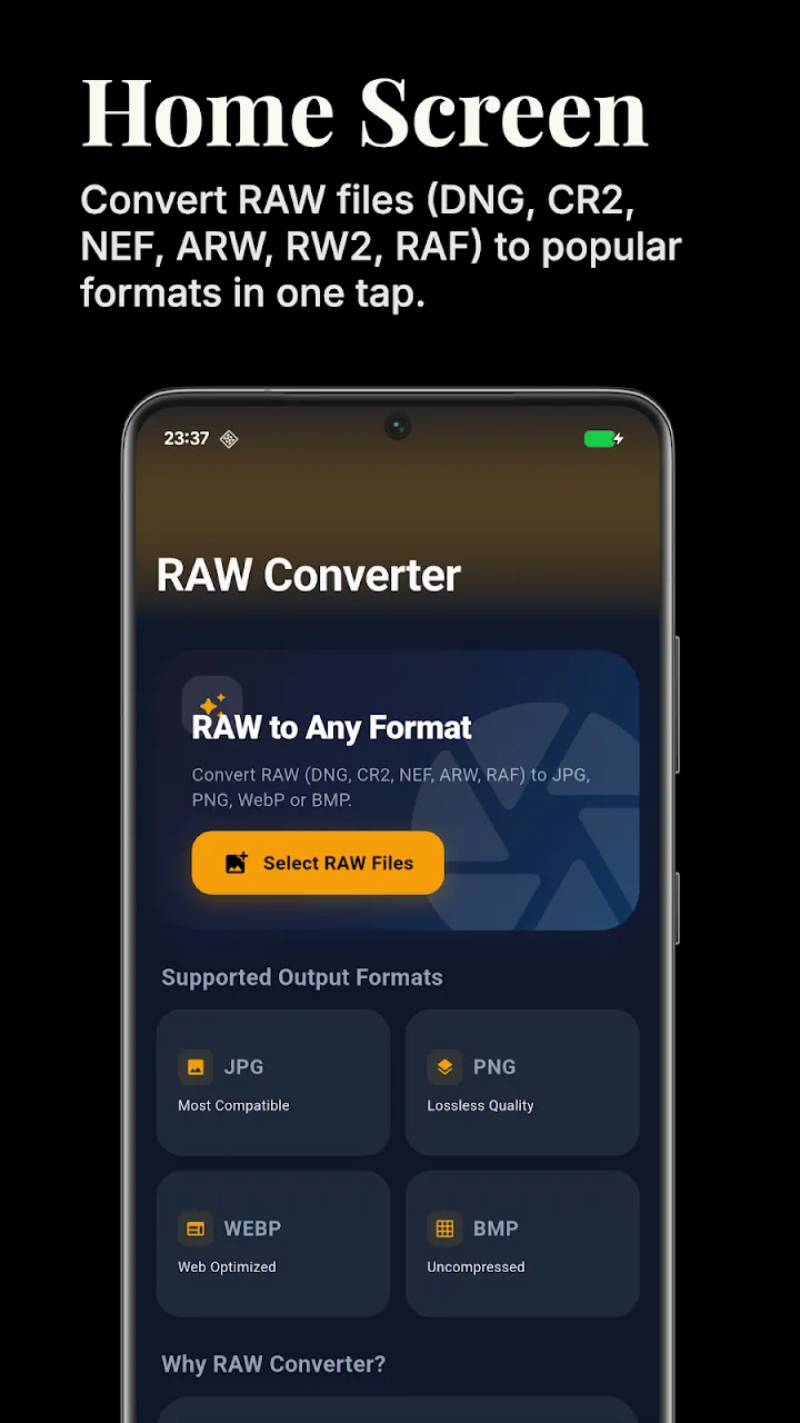 Главный экран BTTC RAW Converter с выбором RAW DNG и форматами вывода