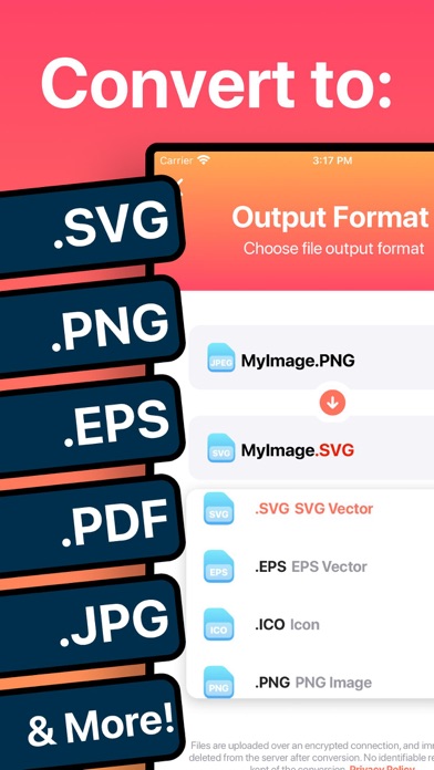 The Vector Converter: экран Output Format со значением .ICO Icon