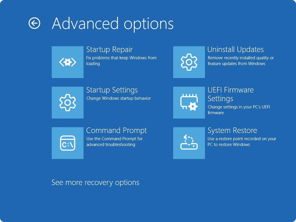 Дополнительные параметры Windows RE