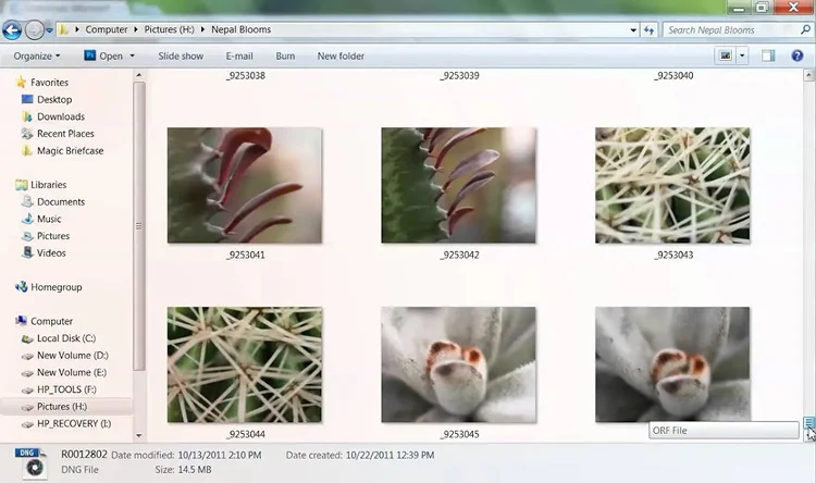Интерфейс устаревшего Microsoft Camera Codec Pack