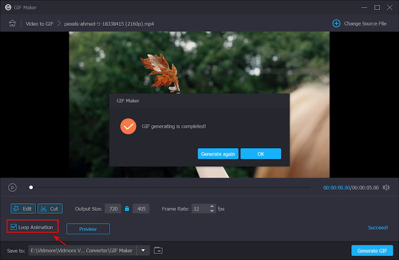 Включение Loop Animation перед экспортом GIF в Vidmore