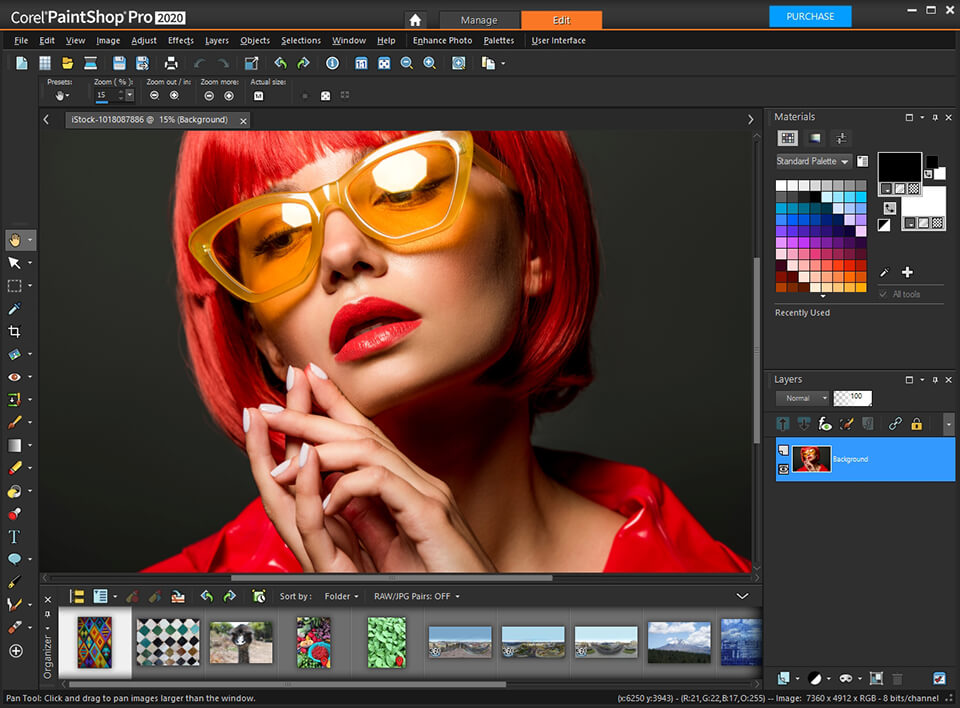Рабочее окно PaintShop Pro с панелями редактирования изображения