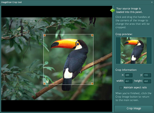 Окно ImageSizer Crop tool с рамкой кадрирования, предпросмотром и кнопкой Crop Image