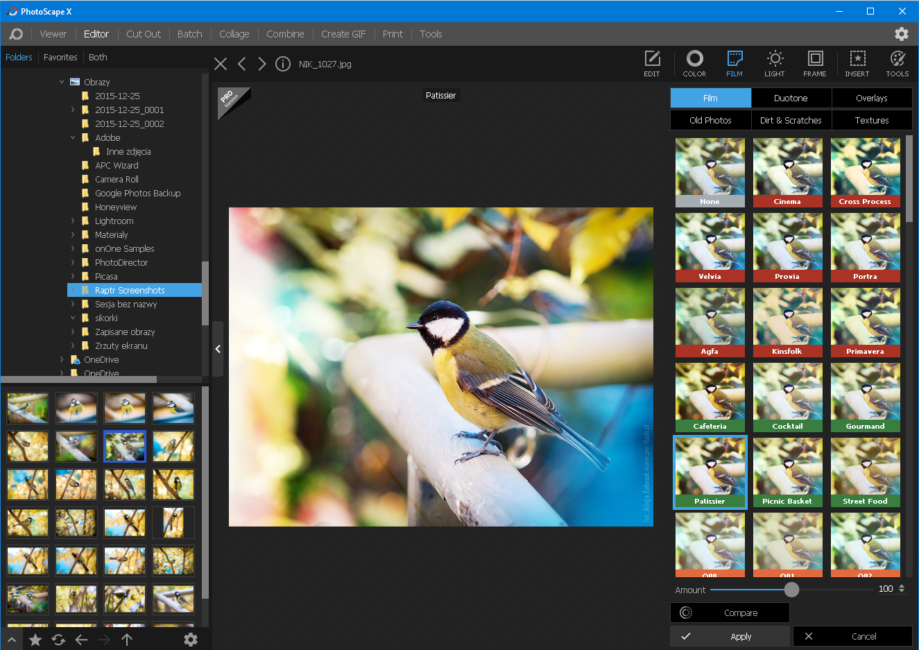 Интерфейс PhotoScape X с открытым разделом Film Effect и регулятором Amount