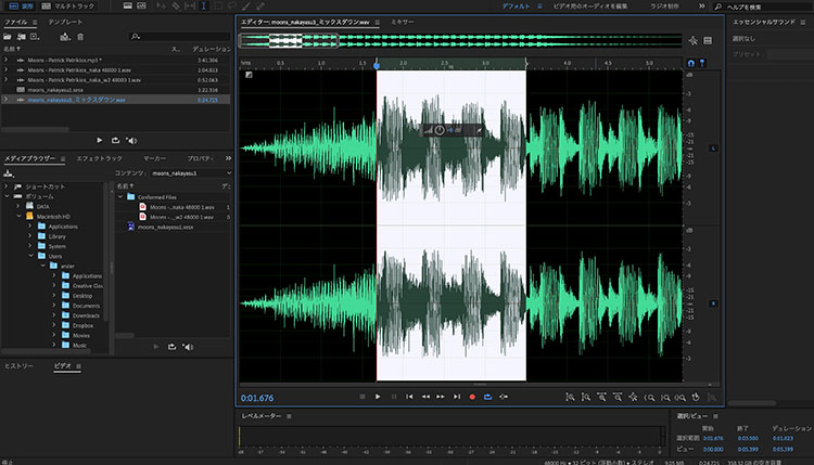 Выделенный участок формы волны в Adobe Audition