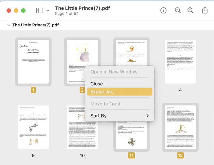 Preview на macOS: миниатюры страниц PDF для извлечения в отдельный документ