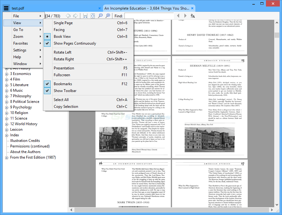 Интерфейс Sumatra PDF с открытым документом и панелью страниц